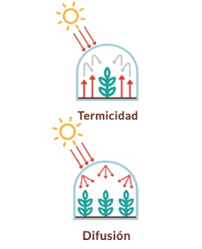 termicidad.jpg