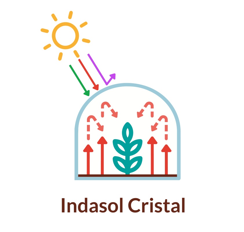 INFOGRAFIA-cristal.png